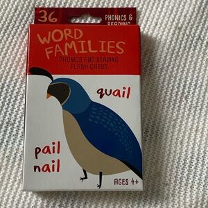 Phonics Word families flashcards